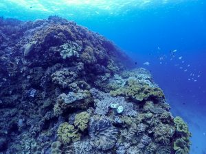 砂辺海底遺跡(北谷海底遺跡)