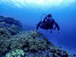 沖縄 ダイビング ライセンス