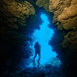 沖縄 東海岸 ネイチャー未来館沖