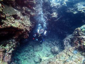 沖縄 東海岸ダイビング