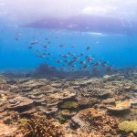 恩納村 万座ミニドリームホール