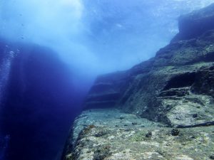 恩納村 ダイビングライセンス