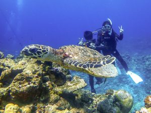 恩納村とケラマでアドバンス・ダイビングライセンス講習！