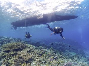 恩納村 ダイビングライセンス