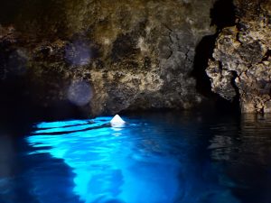 宮古 ダイビング