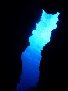 与那国 ダイビング