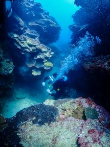 恩納村 ダイビングライセンス