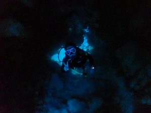 沖縄 洞窟探検ファンダイビング！！