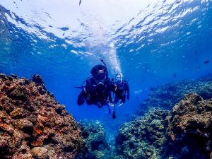 恩納村 ダイビングライセンス