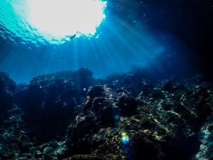 恩納村 ダイビングライセンス