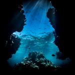 離島 水納島・瀬底島ファンダイビング