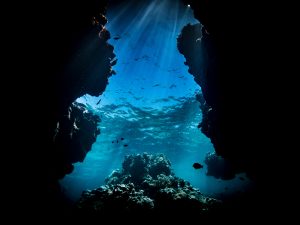 離島 水納島・瀬底島ファンダイビング