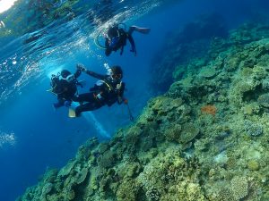 ケラマ ダイビング