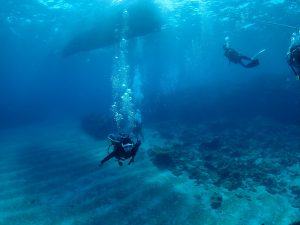 ケラマ ダイビング