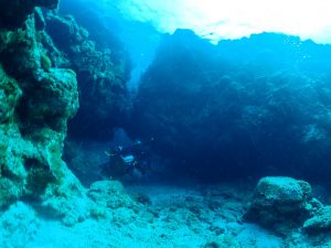 ケラマ ダイビング