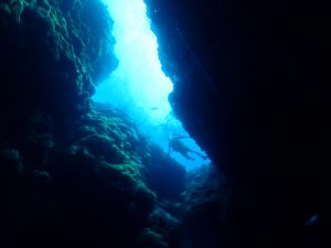 ケラマ ダイビング