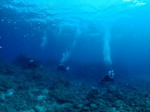 ケラマ ダイビング