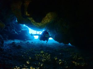 ケラマ ダイビング