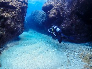 恩納村 ダイビング