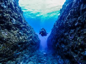 恩納村 ダイビング