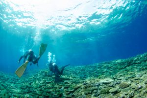 恩納村　ダイビング