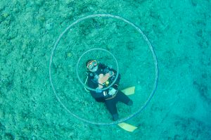 恩納村 ダイビング