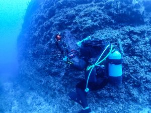 恩納村　ダイビング