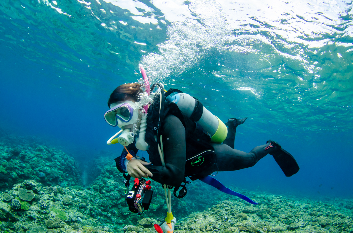 沖縄恩納村 ダイビングライセンス