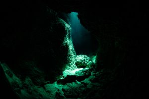 沖縄ダイビングライセンス