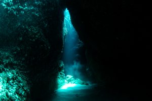 恩納村 ダイビングライセンス