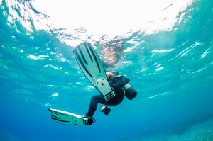 沖縄 恩納村でニタリが登場！万座でダイビング大捜索