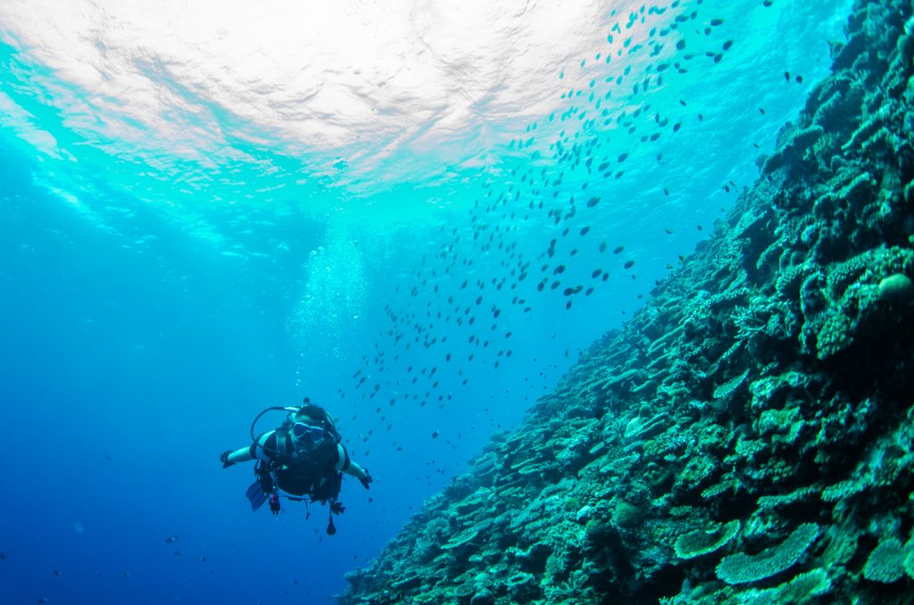 恩納村 ダイビングライセンス