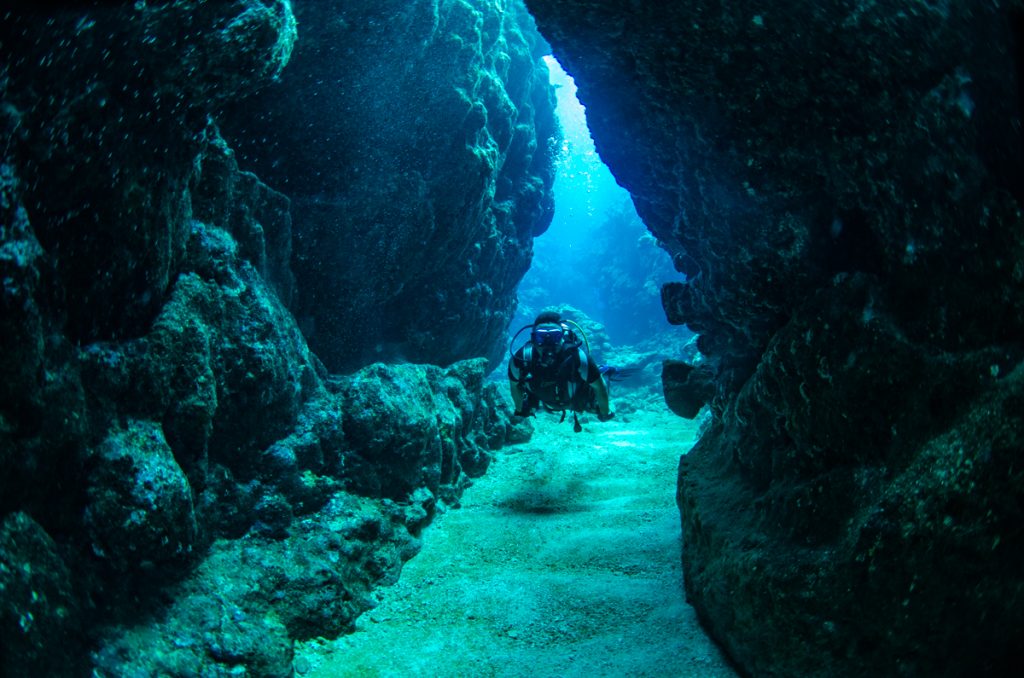 恩納村 ダイビングライセンス