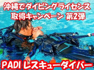 沖縄でダイビングライセンス 取得キャンペーン第2弾