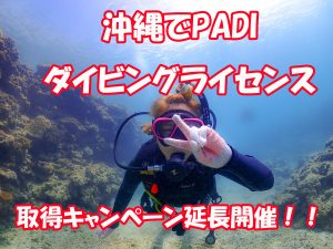 沖縄でダイビングライセンス 恩納村で開催 格安キャンペーン