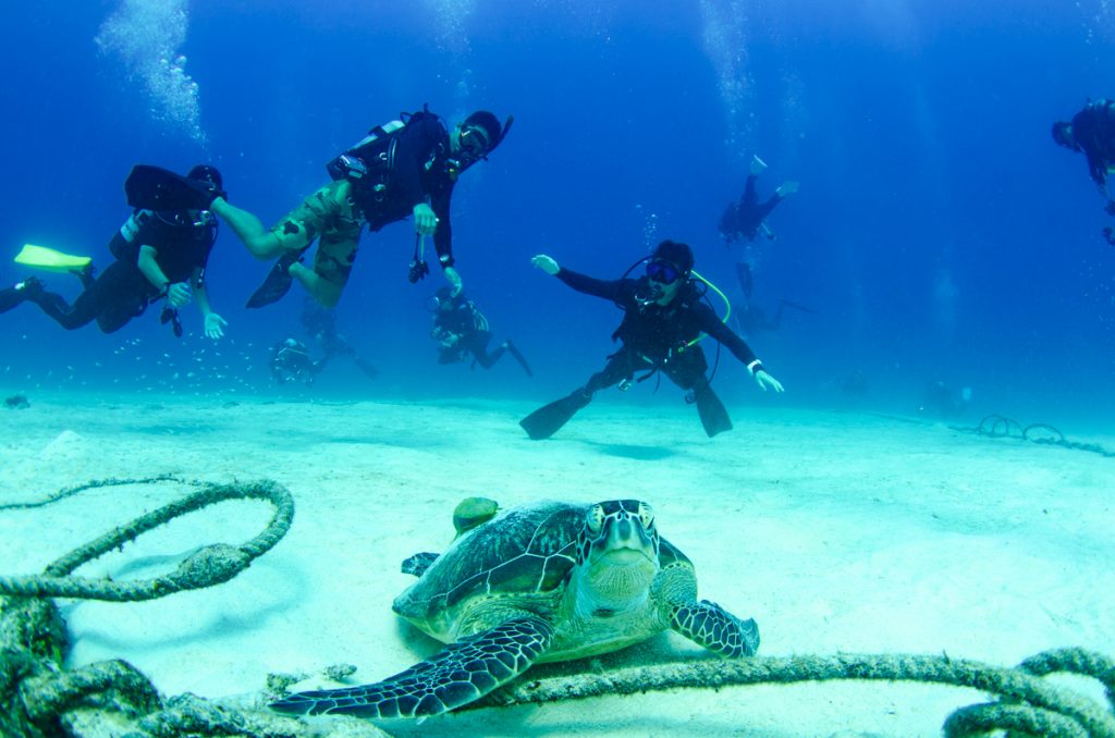 万座 ファンダイビング