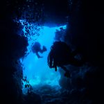 沖縄 万座ファンダイビングでカメ三昧のダイビング