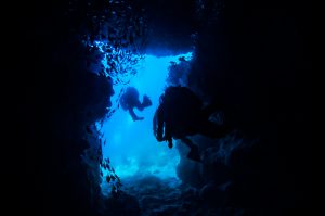 沖縄 万座ファンダイビングでカメ三昧のダイビング