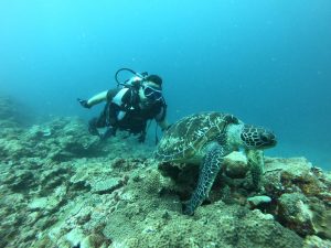 恩納村 ダイビング