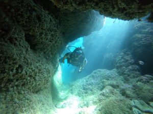 恩納村 ダイビング