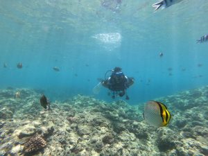 恩納村 ダイビングライセンス