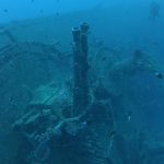 エモンズ　ファンダイビング魚影がすごかった！