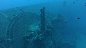 エモンズ　ファンダイビング魚影がすごかった！