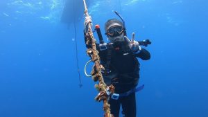 エモンズ ダイビング