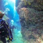 ケラマでファンダイビング、キンメのカーテン