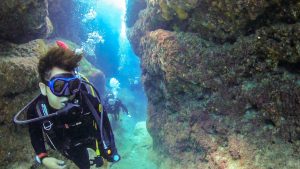 ケラマでファンダイビング、キンメのカーテン