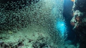 ケラマ　カミグスク