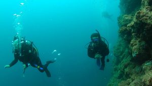 恩納村　ダイビング