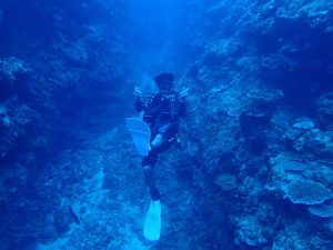 恩納村 ダイビング