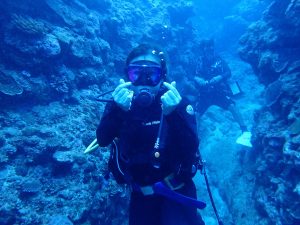 恩納村 ダイビング